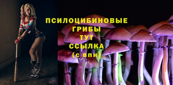mdpv Козельск