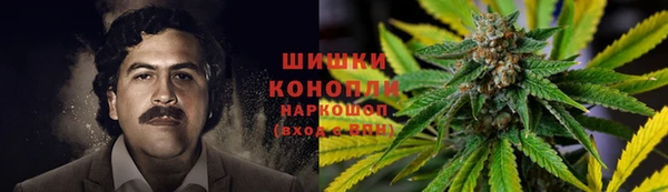 mdpv Козельск