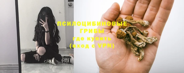 mdpv Козельск