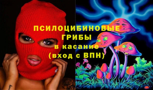 МДМА Козловка