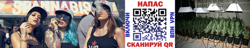 Купить закладки  Кашин  Шишки марихуана марихуана 